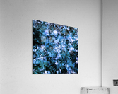 Cool flash point Acrylic Print
