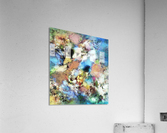 Discovery Acrylic Print