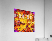Dragon Acrylic Print