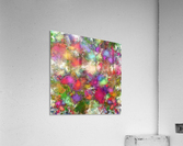 Falling petals Acrylic Print