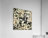 Ghost Acrylic Print