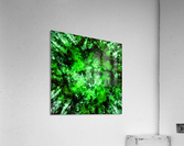 Green burst Acrylic Print