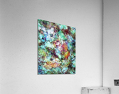 Mixed emotions Acrylic Print