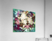 Navigator Acrylic Print