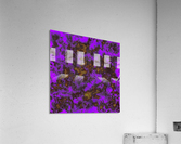 Nightfall Acrylic Print
