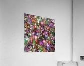 Night lights Acrylic Print