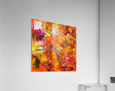 Orange pop Acrylic Print