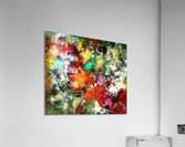 Ramble Acrylic Print