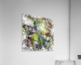 Scratching the surface Acrylic Print