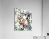 Shove Acrylic Print
