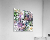Silent surface Acrylic Print
