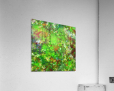 Slippery green rocks Acrylic Print