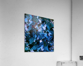 Smouldering blue Acrylic Print