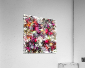 Spin Acrylic Print