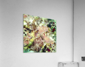 Sugar coated Acrylic Print