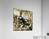 Suspend a moment Acrylic Print