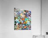 Suspension Acrylic Print