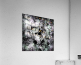 The believable Acrylic Print