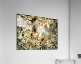 The formidable Acrylic Print