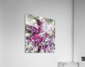 The quiet purple clouds Acrylic Print