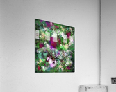The visit Acrylic Print