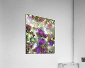 Threshold Acrylic Print