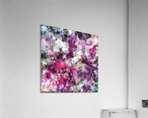 Unexpected visitor Acrylic Print
