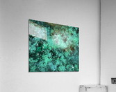 Decompose Acrylic Print