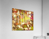 Upon close inspection Acrylic Print
