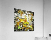 Winter sunlight Acrylic Print