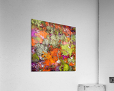 Guessing game Acrylic Print