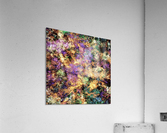 Wet stone Acrylic Print