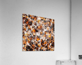 Thermal Acrylic Print