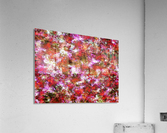 Roses Acrylic Print
