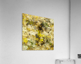 Finding yellow rocks Acrylic Print