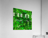 An inconvenient obstacle Acrylic Print