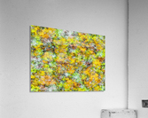 Scrambled eggs Acrylic Print