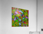 Above the tree canopy Acrylic Print