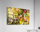 Damage Acrylic Print