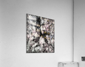 A precarious situation Acrylic Print