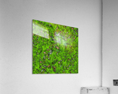Big mossy wall Acrylic Print