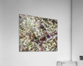 A ghostly reminder Acrylic Print