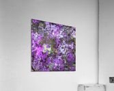 Mauve maker Acrylic Print