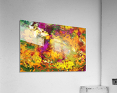 Looking for the impossible Acrylic Print
