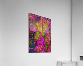 Cross section Acrylic Print
