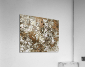 Frosted sand Acrylic Print