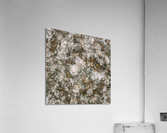 Wringer Acrylic Print