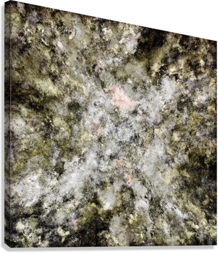 Turning to stone Canvas Print
