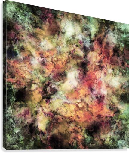 See the warm storm Canvas Print