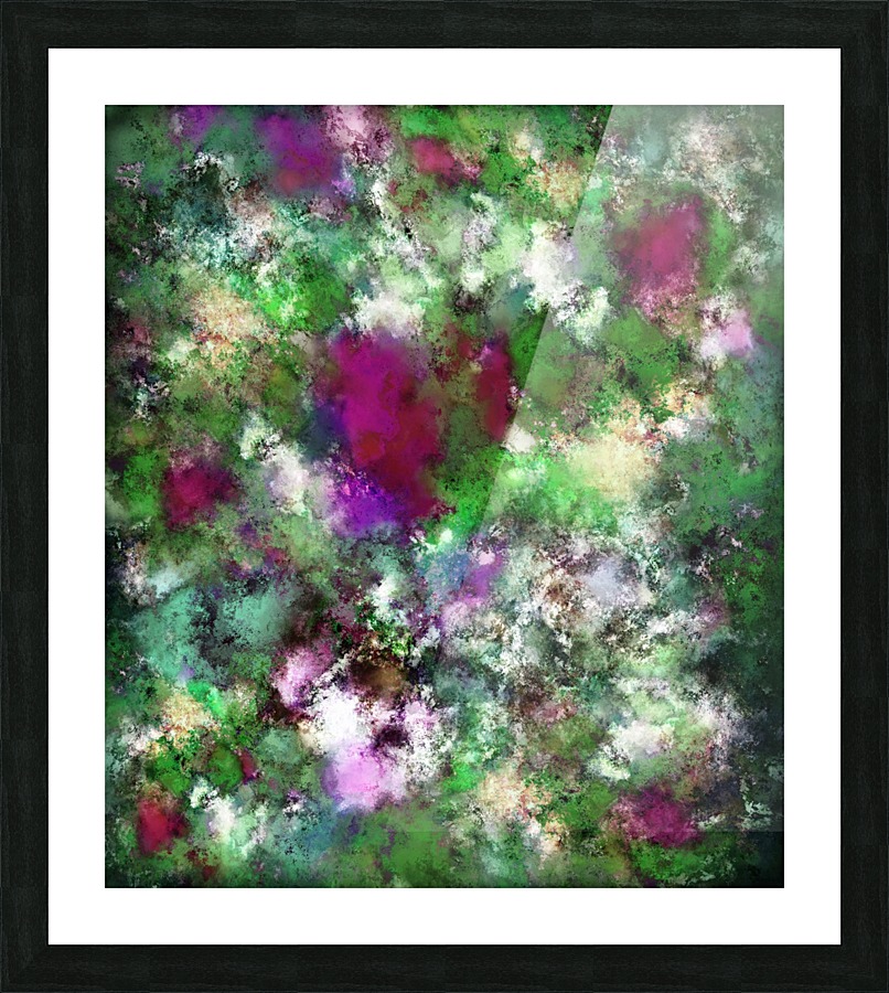 The visit Picture Frame print